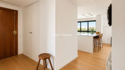 Apartment in Santa Catalina photo 5