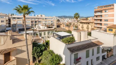 Apartment in Santa Catalina photo 7