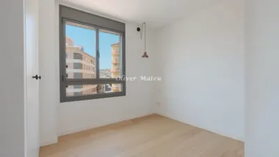 Apartment in Santa Catalina photo 13