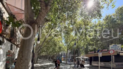 Apartment on Carrer Can Serinyà photo 11