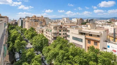 Apartment on Carrer d'Aragonès photo 16
