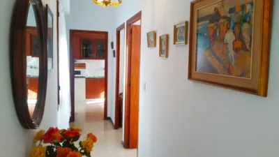 Apartment on Calle del Atleta Antonio Amorós photo 4