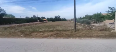 Terreno en venta en Calle Polígono 17, Parcela 519 - Vista 5