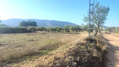 Terreno en venta en Pasaje San Vicente O Casa de Gracia , Número 0 - Vista 2