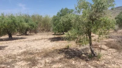 Terreno en venta en Camino del Batán O de los Molinos, Polígono , Número 16 - Més
