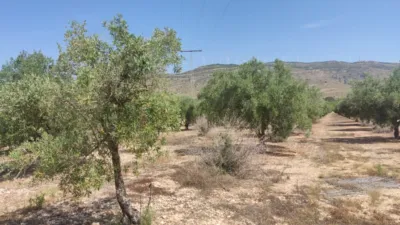 Terreno en venta en Camino del Batán O de los Molinos, Polígono , Número 16 - Vista 5