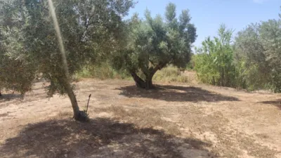 Terreno en venta en Camino del Batán O de los Molinos, Polígono , Número 16 - Vista 3