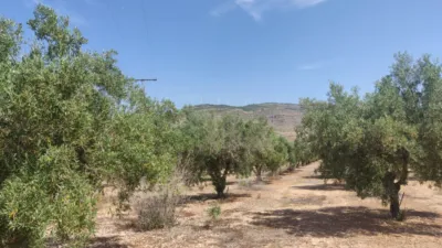 Terreno en venta en Camino del Batán O de los Molinos, Polígono , Número 16 - Vista 4