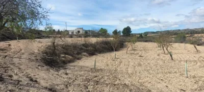 Terreno en venta en Pasaje Zona de Alacera O Rambla Honda , Número 730 - Més