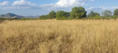 Terreno en venta en Pasaje El Llano , Parcela 605 - Vista 5