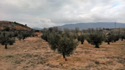 Terreno en venta en Calle Camino del Cementerio - Vista 4
