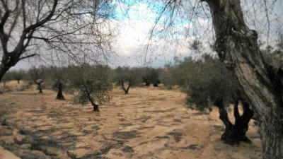 Terreno en venta en Calle Camino del Cementerio - Vista 3