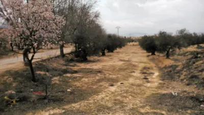 Terreno en venta en Calle Camino del Cementerio - Vista 2