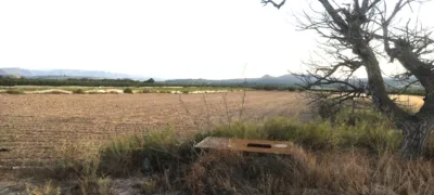 Terreno en venta en Avenida Poligono 6, Número Sn - Vista 4