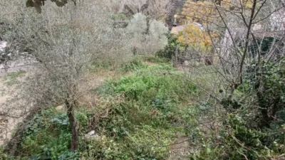 House for sale on Carrer del Cim de la Barònia photo 2