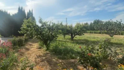 Casa en venta en Sector Partida Pardinyes Altes, Partides de Lleida (Lleida Capital) de 355.000 €