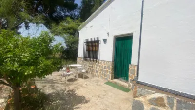 Rustic Finca in Hellín photo 9