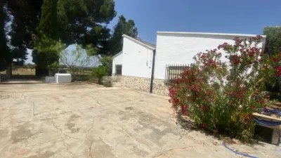 Rustic Finca in Hellín photo 3