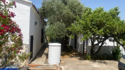 Rustic Finca in Hellín photo 11