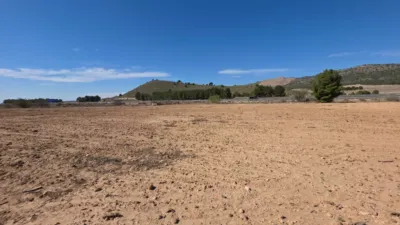 Terreno en venta en Paraje del Puerto - Vista 5