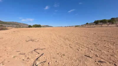 Terreno en venta en Paraje del Puerto - Vista 4