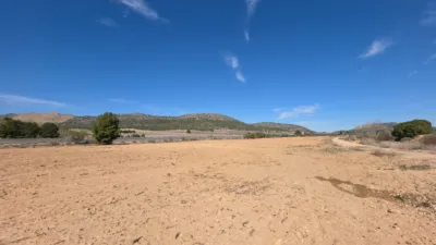 Terreno en venta en Paraje del Puerto - Vista 3