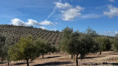 Rustic Finca in Cacín photo 8