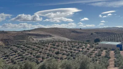 Rustic Finca in Cacín photo 5