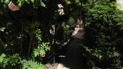 House on Calle Diseminados photo 47