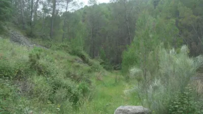 Rustic farm on Collado Jaral Street photo 4