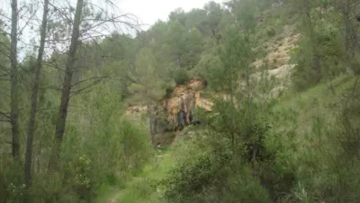 Rustic farm on Collado Jaral Street photo 5