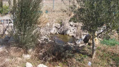 Rustic finca on Calle Abenuj photo 5