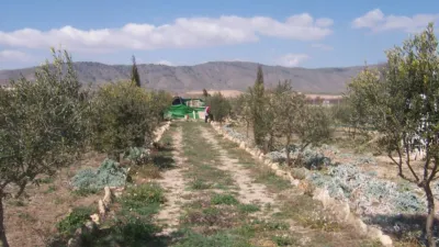 Rustic finca on Calle Abenuj photo 6