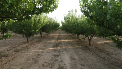 Rustic Finca in Tobarra photo 11