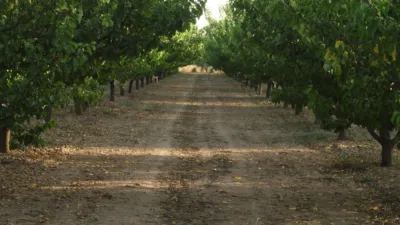 Rustic Finca in Tobarra photo 12