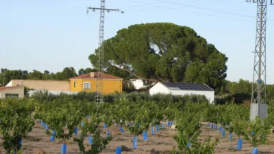 Rustic Finca in Tobarra photo 14