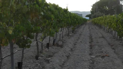 Rustic Finca in Tobarra photo 17