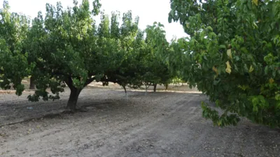 Rustic Finca in Tobarra photo 3