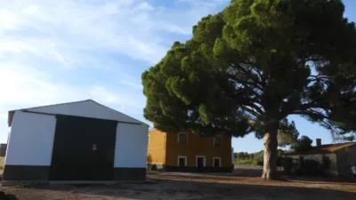 Rustic Finca in Tobarra photo 8