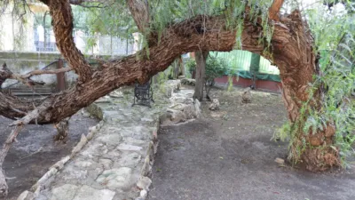 Chalet in Albatana photo 17