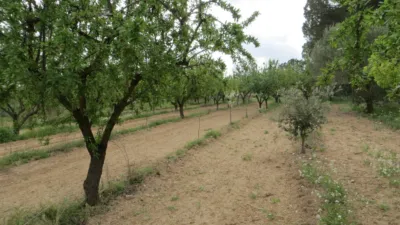 Terreno en venta en Tobarra - Vista 2