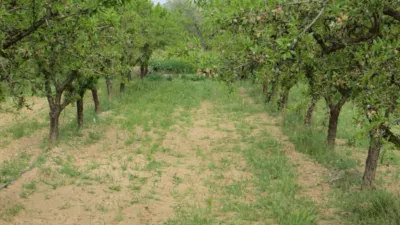 Terreno en venta en Tobarra - Vista 5