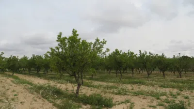 Terreno en venta en Tobarra - Més