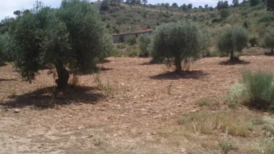 Finca rústica en venta en Calle Nava de Abajo, Nava de Abajo (Pozohondo) de 29.900 €