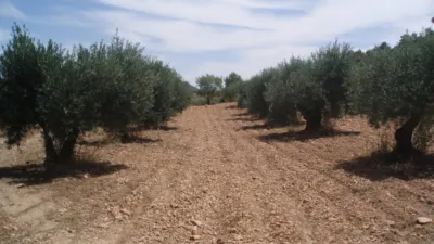 Finca rústica en venta en Calle Nava de Abajo, Nava de Abajo (Pozohondo) de 29.900 €