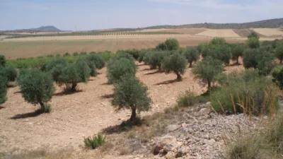 Finca rústica en venta en Calle Nava de Abajo, Nava de Abajo (Pozohondo) de 29.900 €