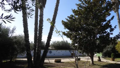 Chalet en Tobarra photo 2