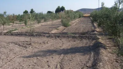 Rustic farm in Tobarra photo 2
