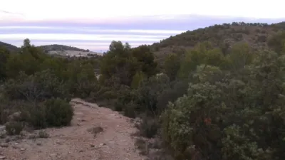 Finca rústica en venta en Calle Alatoz, Santa Cruz-San Antonio Abad-Industria, Cañicas (Albacete Capital) de 1.350.000 €