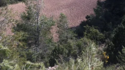 Finca rústica en venta en Calle Alatoz, Santa Cruz-San Antonio Abad-Industria, Cañicas (Albacete Capital) de 1.350.000 €